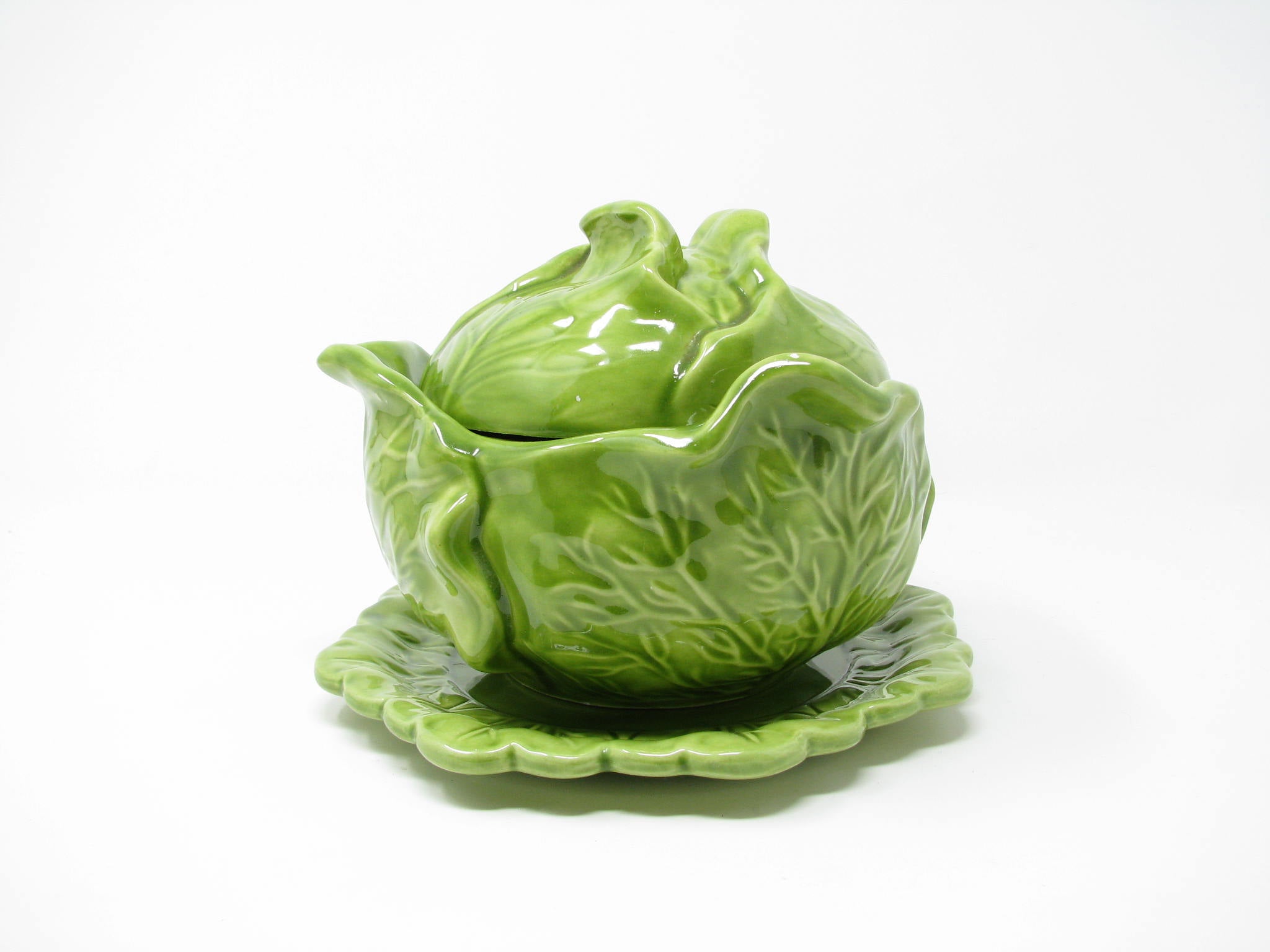 holland lettuce mold